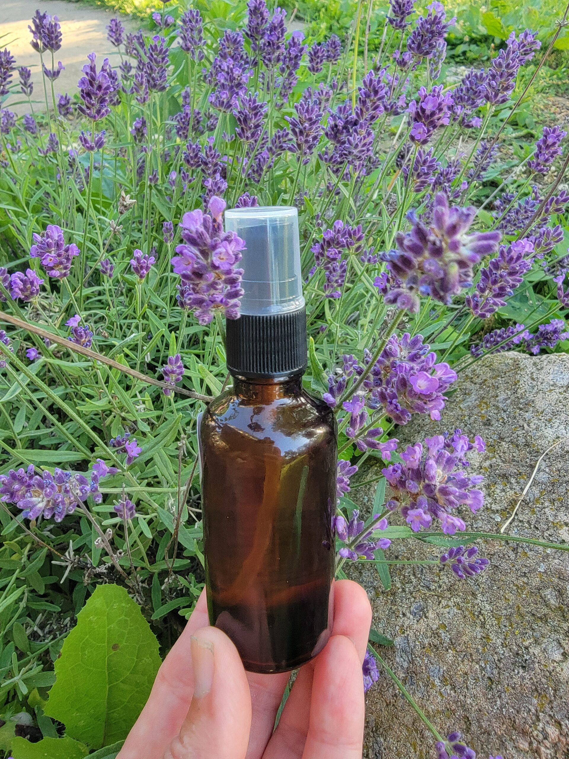 All Natural Bug Spray